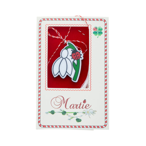 BRO 25 MARTISOARE BROSA IN CUTIE CATIFEA 1