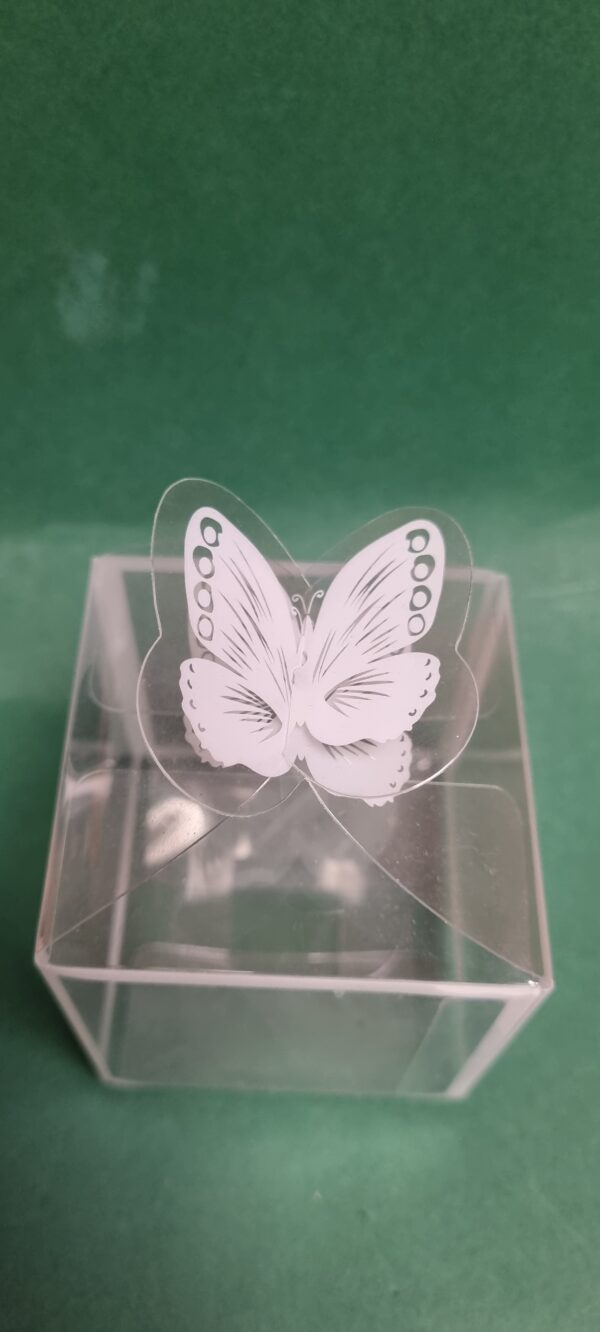 Accesoriu cutie blister 6x6cm 4
